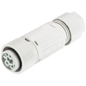 Wieland 46.051.4554.0 Ronde connector Koppeling, recht Totaal aantal polen: 3 + PE Serie (ronde connectors): RST MINI 1 stuk(s)