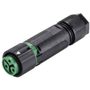 Wieland 46.031.4555.7 Ronde connector Koppeling, recht Serie (ronde connectors): RST MINI Totaal aantal polen: 2 + PE 1 stuk(s)
