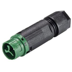 Wieland 46.032.4555.7 Ronde connector Stekker, recht Serie (ronde connectors): RST MINI Totaal aantal polen: 2 + PE 1 stuk(s)
