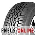 Nankang Snow SW-7 ( 205/60 R15 91T, met spikes )