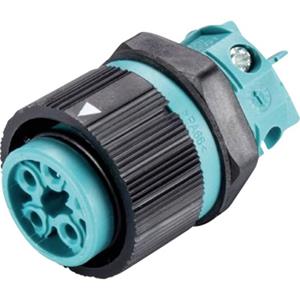 Wieland 46.051.5053.6 Ronde connector Bus, inbouw Serie (ronde connectors): RST MINI Totaal aantal polen: 4 + PE 1 stuk(s)