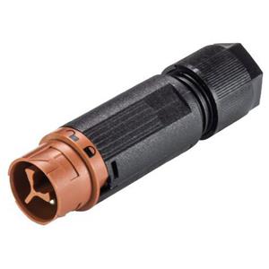 Wieland 46.032.4551.4 Ronde connector Stekker, recht Serie (ronde connectors): RST MINI Totaal aantal polen: 2 1 stuk(s)