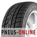 Ganzjahresreifen Master-Steel Allweather 215/50 R17 95W