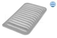 opel Luchtfilter 6123210010