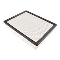 cadillac Luchtfilter ADA102234