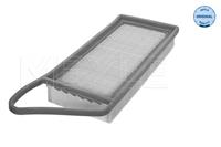 citroen Luchtfilter 11123210009