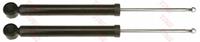 TRW Stoßdämpfer AUDI JGT451T 1K0513029EJ,1K0513029EK,1K0513029FE Federbein,Stossdämpfer 1K0513029JC,1K0513029EG,1K0513029EH