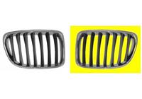 bmw Grill