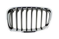 bmw Radiateurgrille