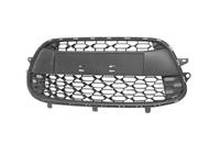 citroen Bumpergrill Onder Zwart