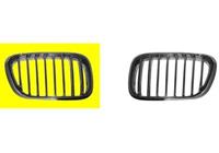 vanwezel Sierrooster rechts van wezel autoparts
