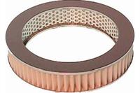 suzuki Luchtfilter