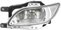 Mistlamp HELLA 1ND 010 223-311