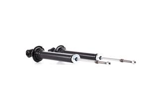 Stoßdämpfer Hinterachse TRW JGS1008T