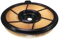 suzuki Luchtfilter