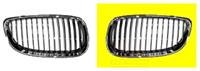 bmw Radiateurgrille