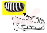 bmw Grill