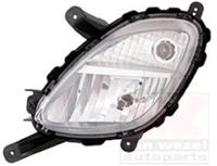 kia Mistlicht