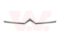 citroen Radiateurgrille