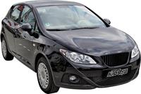 Embleemloze Grill Seat Ibiza 6J 3/5-deurs 2008- excl. Facelift DXSG865