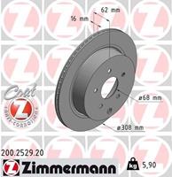 infiniti Remschijf Coat Z 200252920