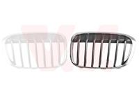 bmw grille l. sierrooster