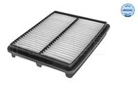 chevrolet Luchtfilter 29123210008