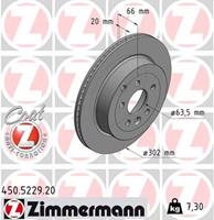 land Remschijf COAT Z