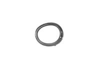vanwezel Mistlichtring equipart