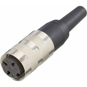 Amphenol T 3361 001 Ronde connector Koppeling, recht Totaal aantal polen: 5 Serie (ronde connectors): C091 1 stuk(s)