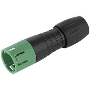 binder 99 9209 070 04-1 Ronde stekker Stekker, recht Serie (ronde connectors): 620 Totaal aantal polen: 4 1 stuk(s)