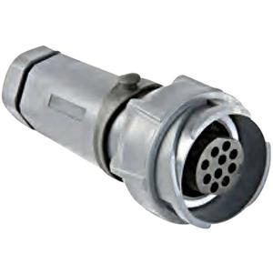 bulgin PXP7011/32S/CR/0911 Rondconnector Koppeling, recht Serie (ronde connectors): Buccaneer 7000 Totaal aantal polen: 32 1 stuk(s)