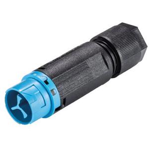 Wieland 46.032.4554.9 Ronde connector Stekker, recht Totaal aantal polen: 2 Serie (ronde connectors): RST MINI 1 stuk(s)
