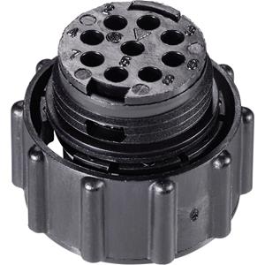 teconnectivity TE Connectivity 205842-1 Ronde stekker Stekker, recht Serie (ronde connectors): CPC Totaal aantal polen: 63 1 stuk(s)