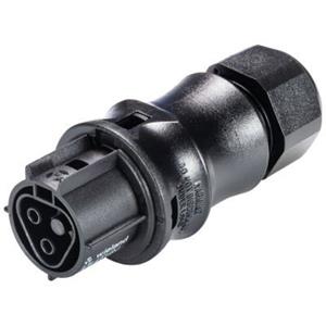 Wieland 96.021.4053.1 Ronde connector Koppeling, recht Totaal aantal polen: 2 Serie (ronde connectors): RST CLASSIC 1 stuk(s)