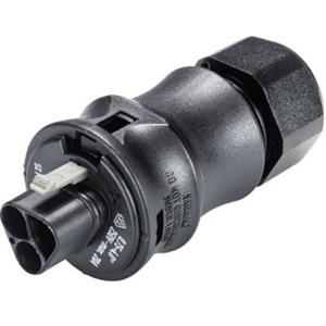 Wieland 96.022.4053.1 Ronde connector Stekker, recht Totaal aantal polen: 2 Serie (ronde connectors): RST CLASSIC 1 stuk(s)
