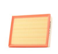 FILTRON Luchtfilter OPEL,TOYOTA,CITROËN AP 196/9 9813908880,39192256,9813908880  9813908880,SU001A7906