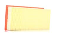 FILTRON Luchtfilter OPEL,PEUGEOT,CITROËN AP 196/6 9674725580,9674725580