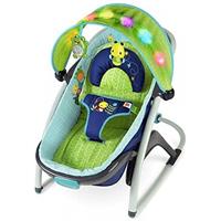 Bright Starts /Kids II 60487 Babywippe zum Schlafen, mehrfarbig