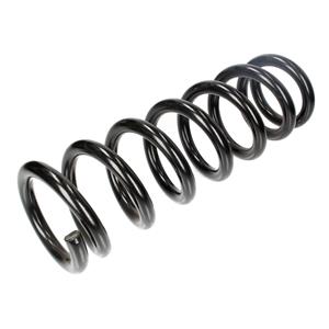 Chassisveer LESJOFORS 4215635