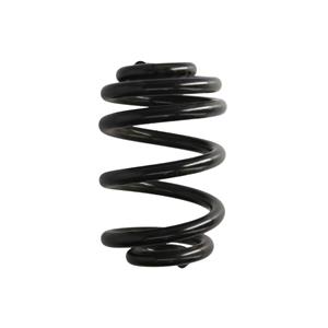 Chassisveer LESJOFORS 4256838
