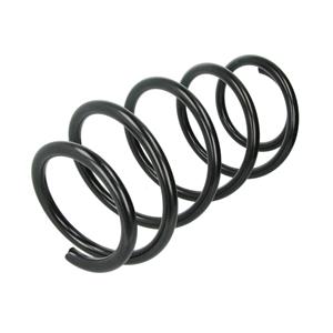 Chassisveer LESJOFORS 4062069