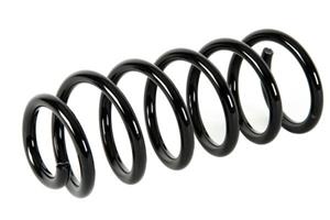 Magnum Fahrwerksfeder Hinterachse  SA095MT