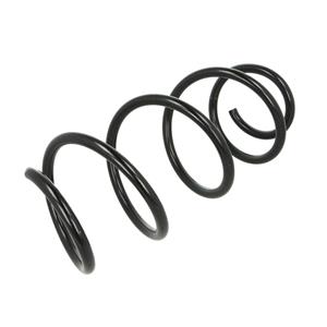 Chassisveer LESJOFORS 4037259