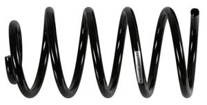 Sachs Schroefveer 994819