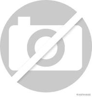 herth+bussjakoparts Remschijf HERTH+BUSS JAKOPARTS J3314048, 1 deel