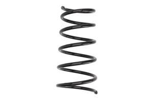 Magnum Fahrwerksfeder Vorderachse  SR017MT