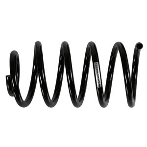 Springveer SACHS 994 818