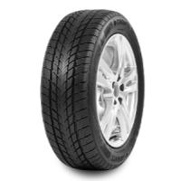 'Davanti Wintoura (215/60 R16 99H)'