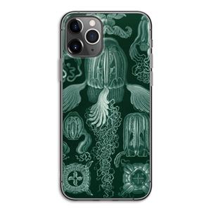 CaseCompany Haeckel Cubomedusae: iPhone 11 Pro Transparant Hoesje